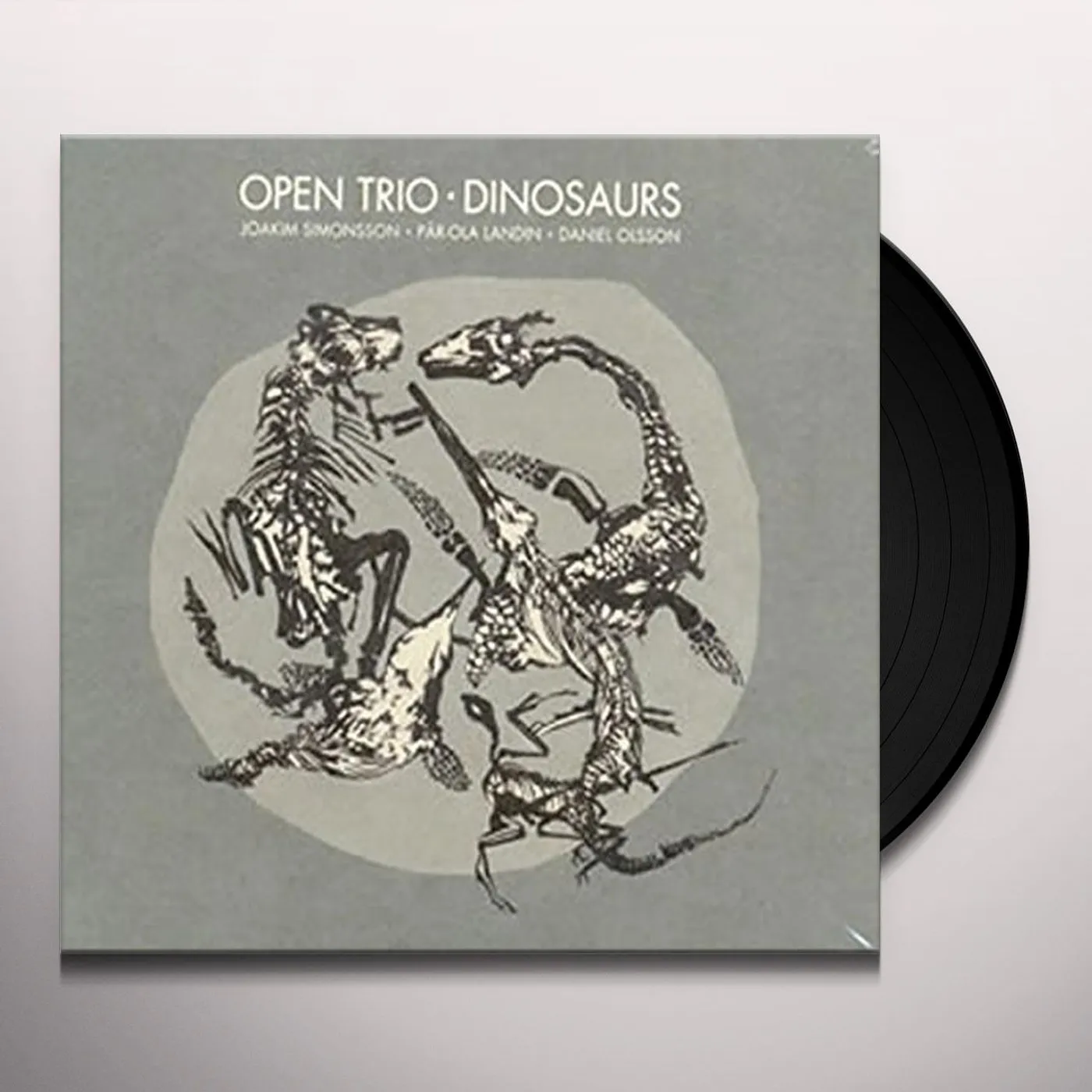 Open Trio Dinosaurs Vinyl Record
