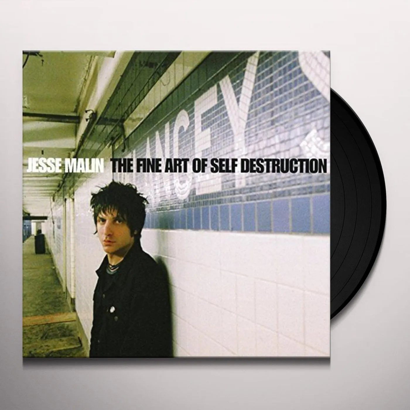 Jesse Malin FINE ART OF SELF: DIRECT METAL MASTER Vinyl Record