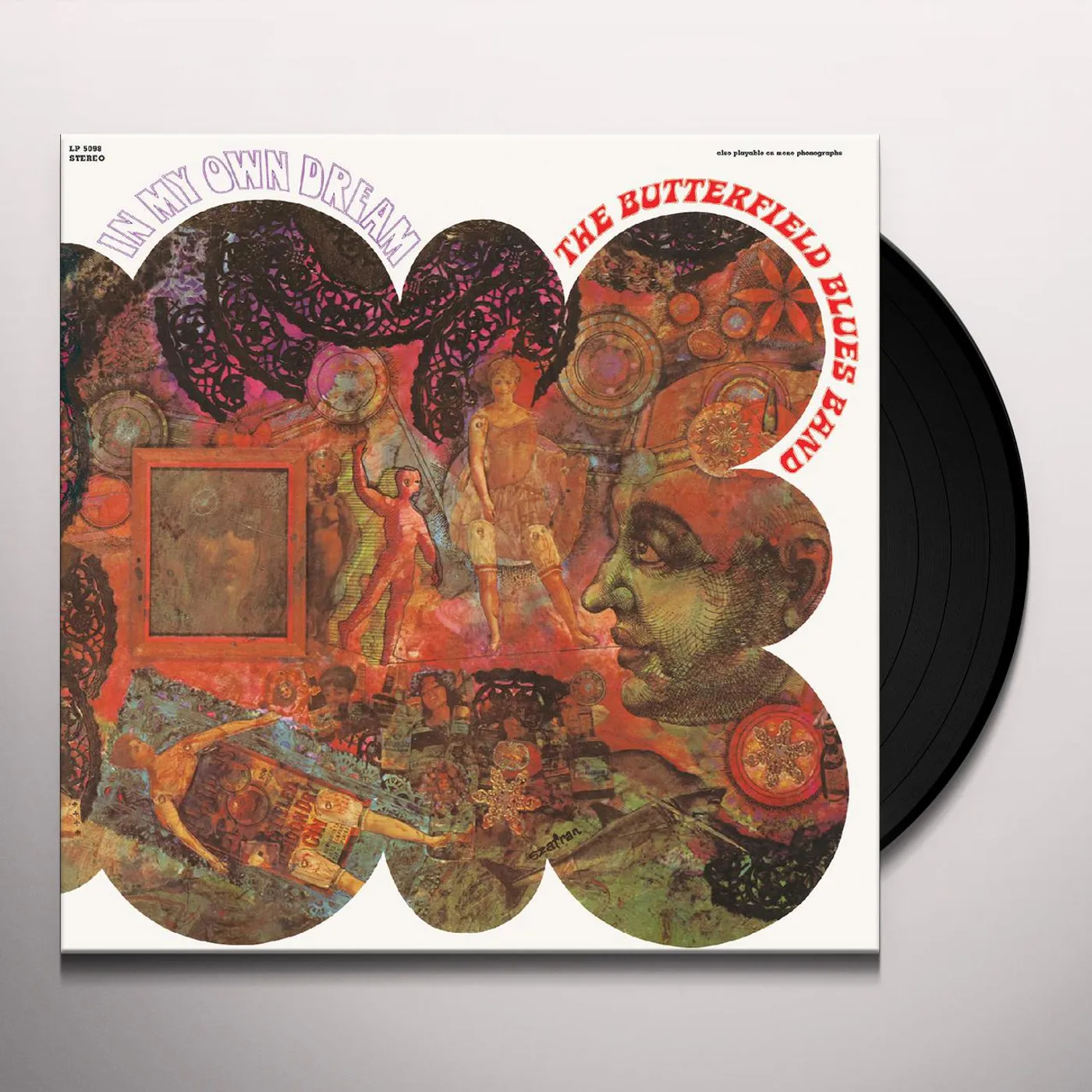 Paul Butterfield In My Own Dream Vinyl Record