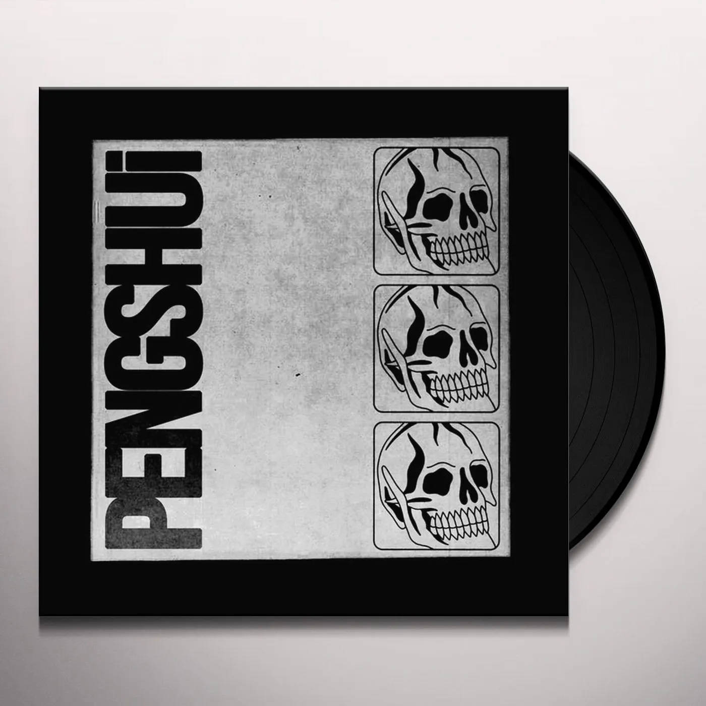 PENGSHUi Vinyl Record