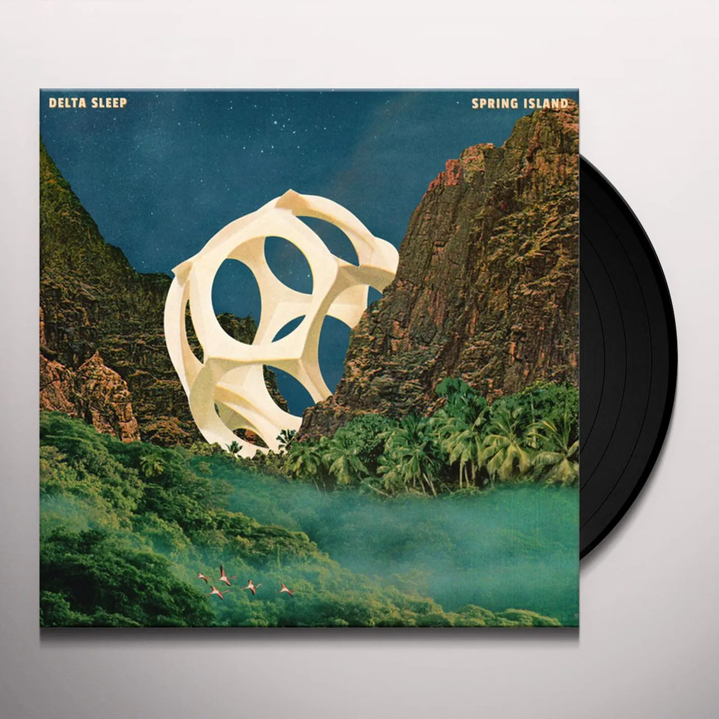 Delta Sleep SPRING ISLAND Vinyl Record
