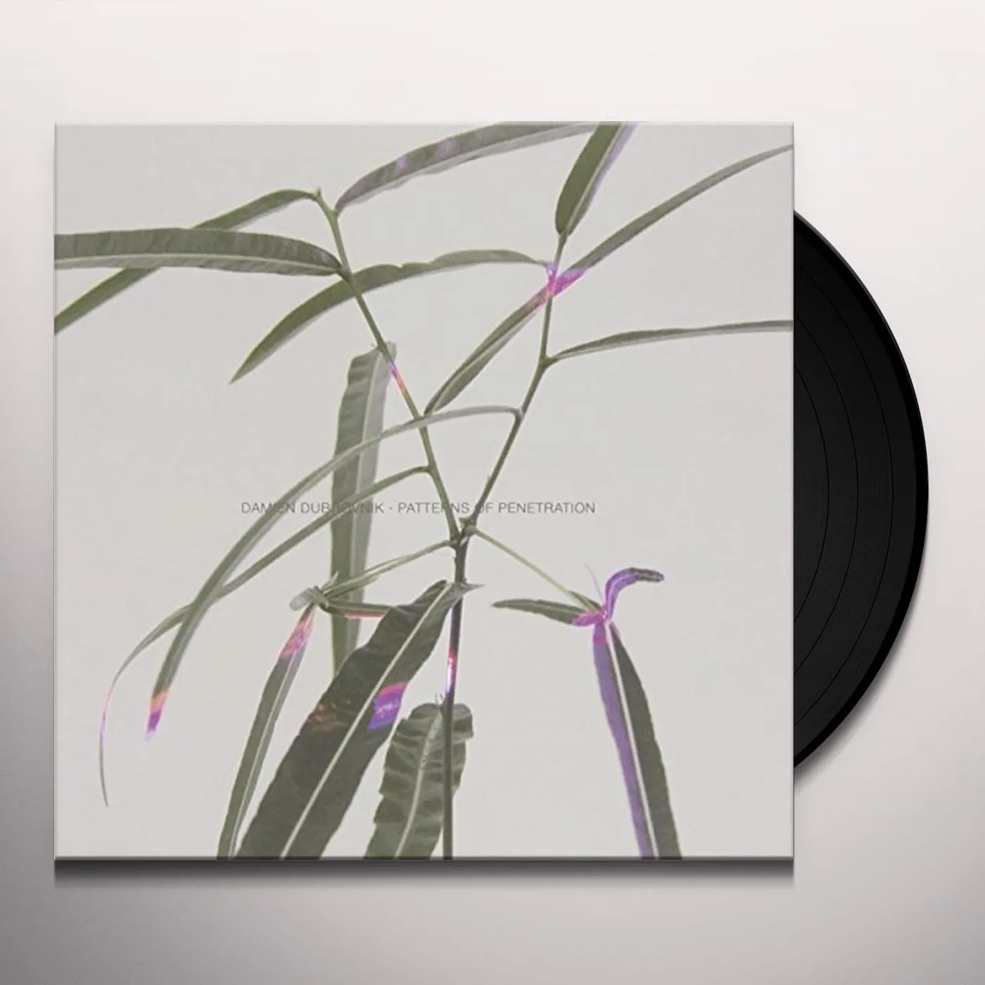 Damien Dubrovnik Patterns of Penetration Vinyl Record