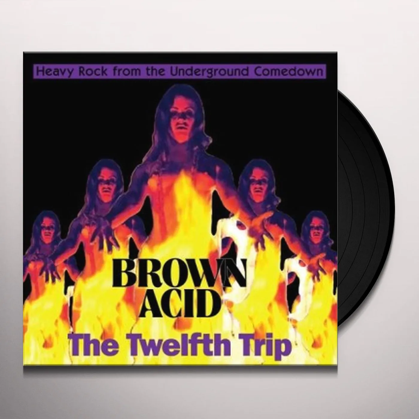 Various Artists  BROWN ACID: THE TWELFTH TRIP Vinyl Record