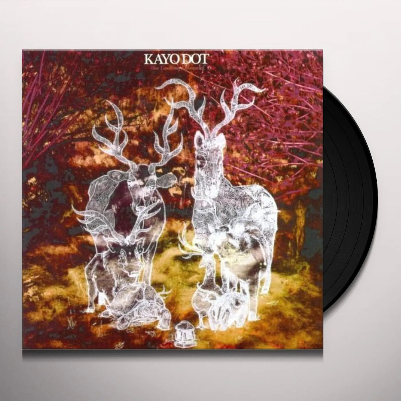 Kayo Dot Blue Lambency Downward Vinyl Record