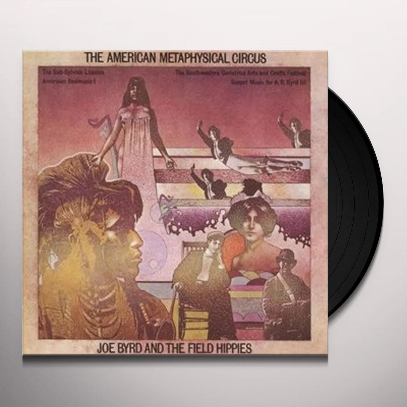 Joe Byrd & The Field Hippies AMERICAN METAPHYSICAL CIRCUS Vinyl Record