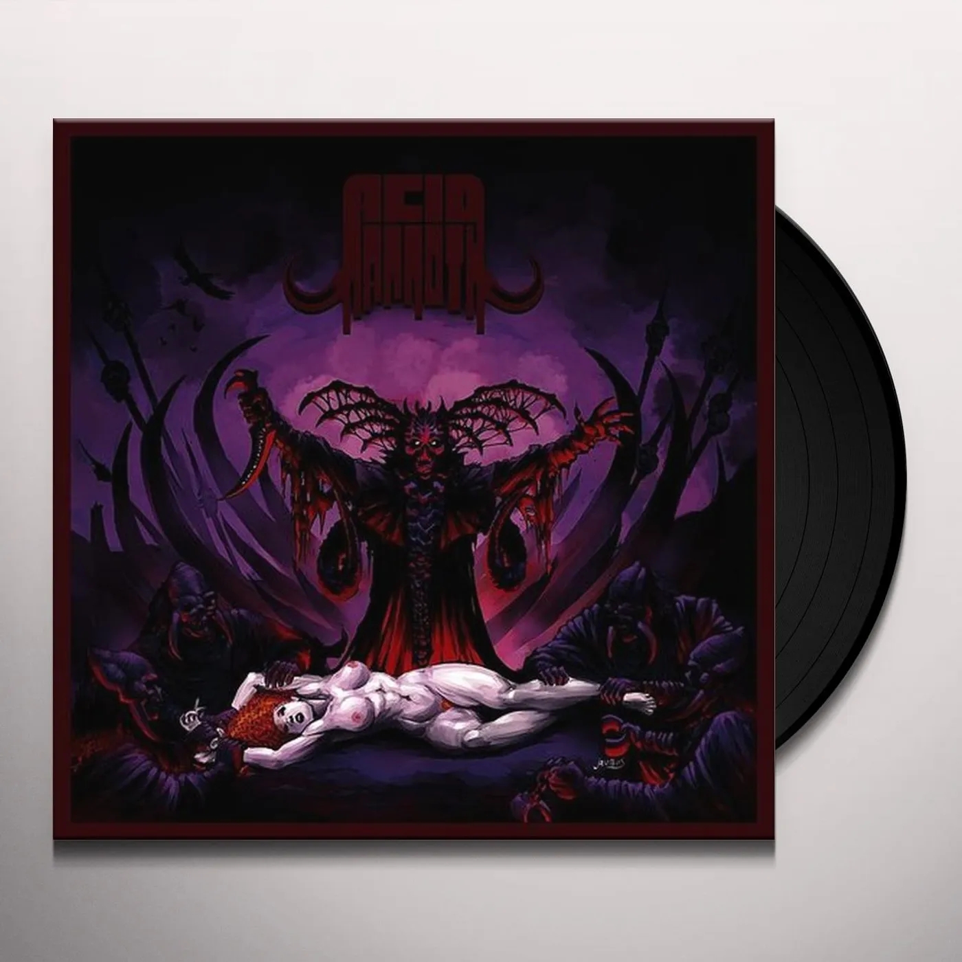 Acid Mammoth Vinyl Record
