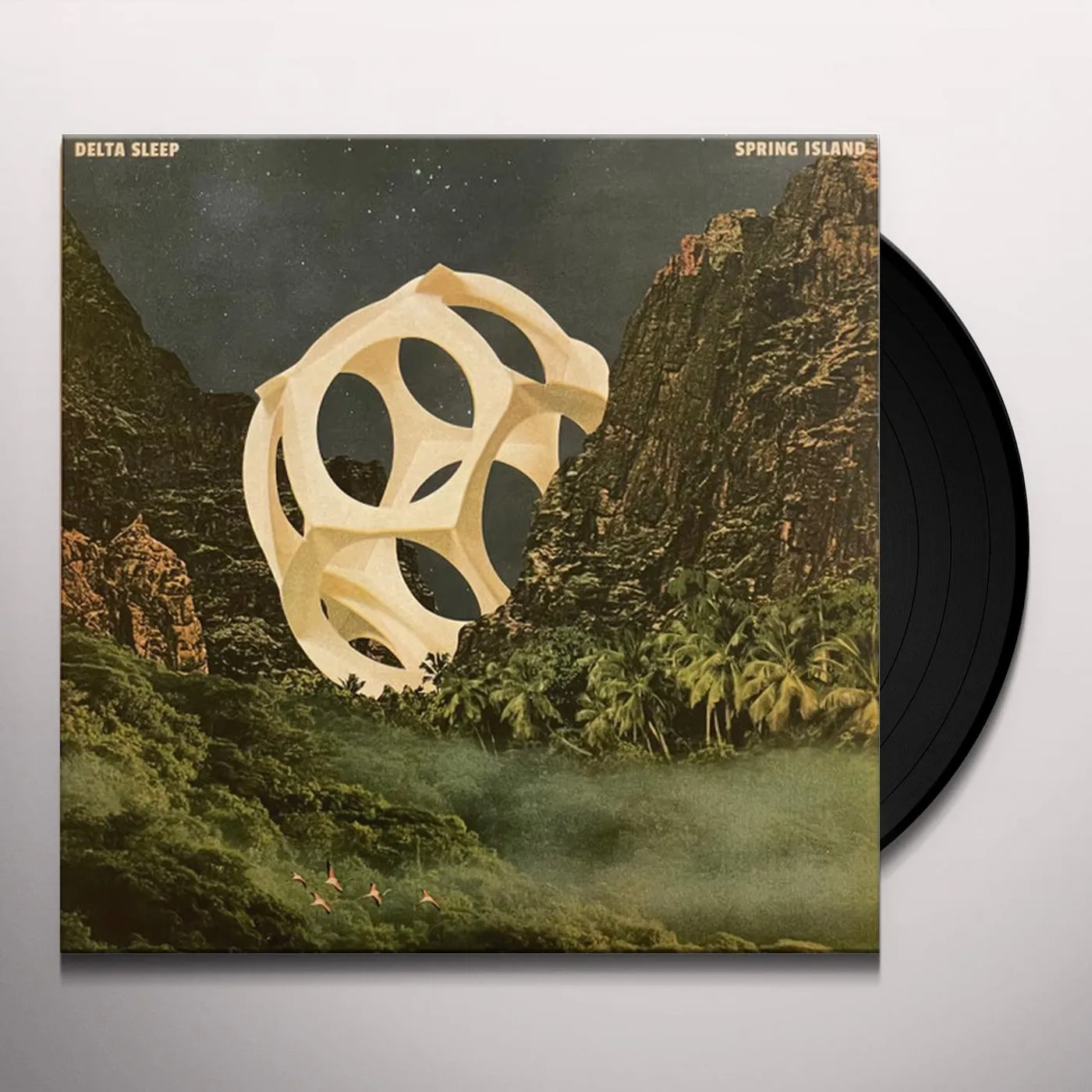 Delta Sleep Spring Island Vinyl Record