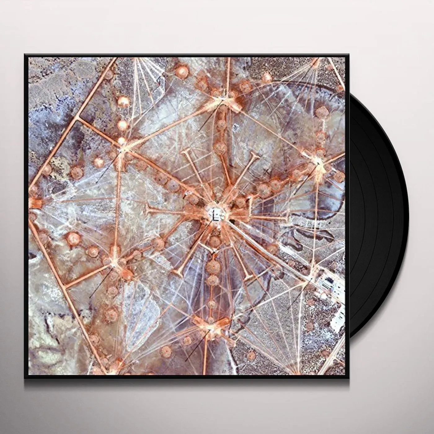 HOLOVR Holo Earth Vinyl Record