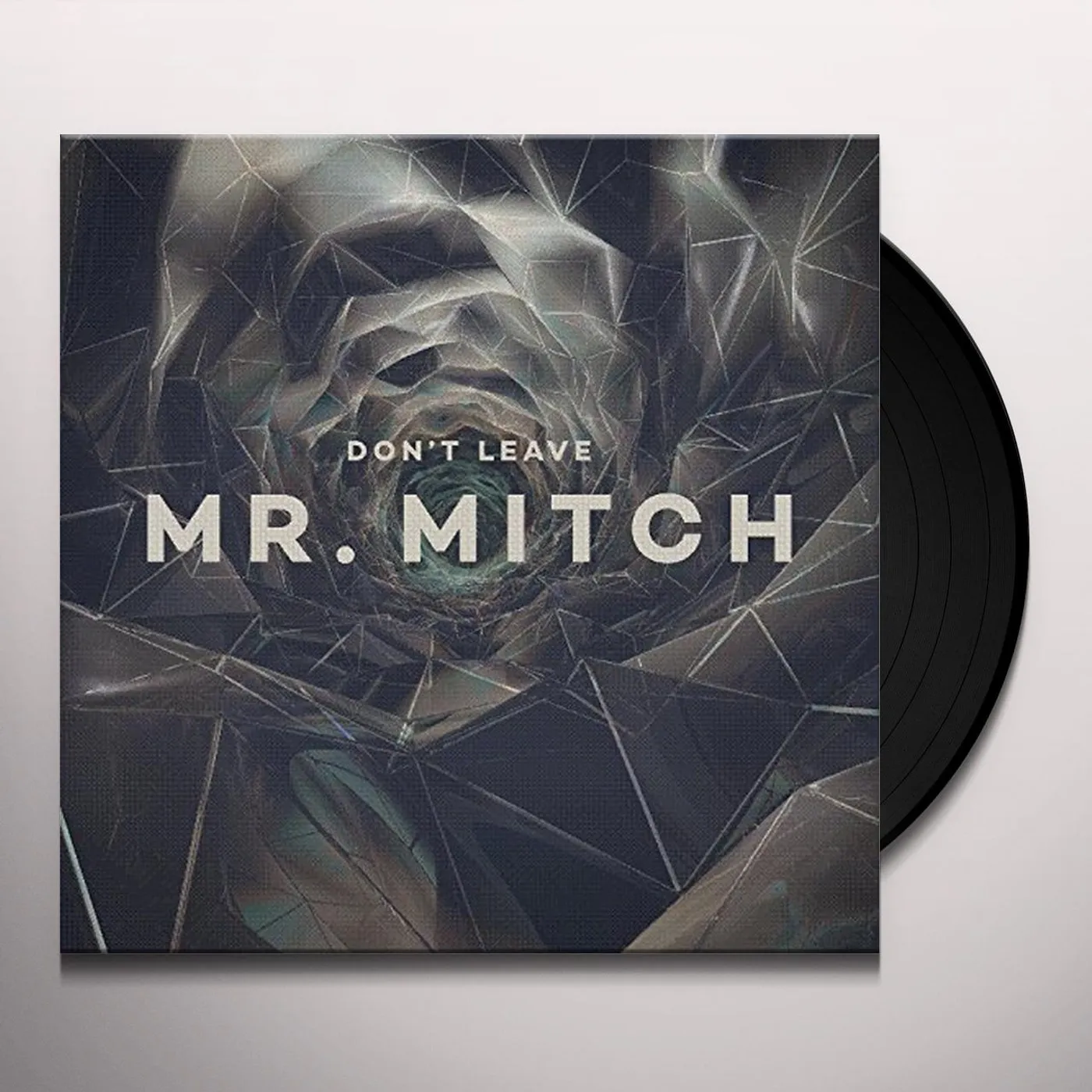 Mr. Mitch Don't Leave Vinyl Record