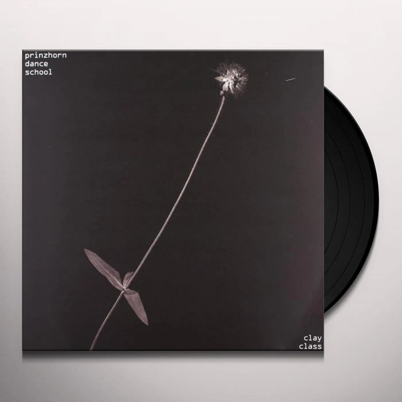 Prinzhorn Dance School CLAY CLASS Vinyl Record - Sweden Release
