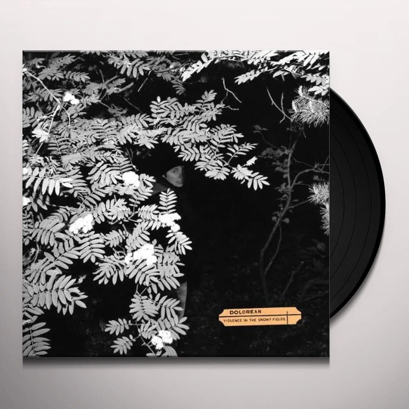 Dolorean VIOLENCE IN THE SNOWY FIELDS Vinyl Record