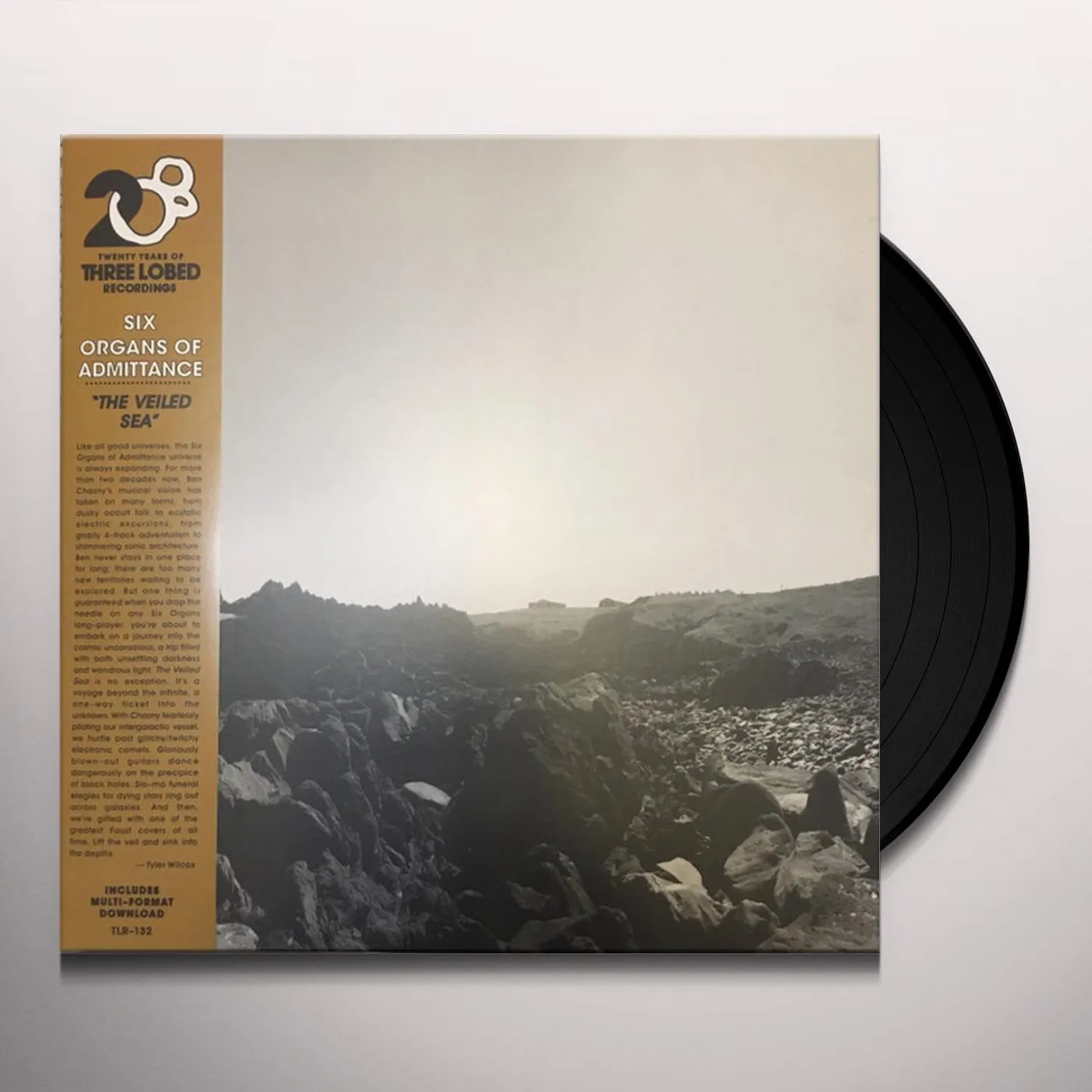 Six Organs Of Admittance VEILED SEA Vinyl Record