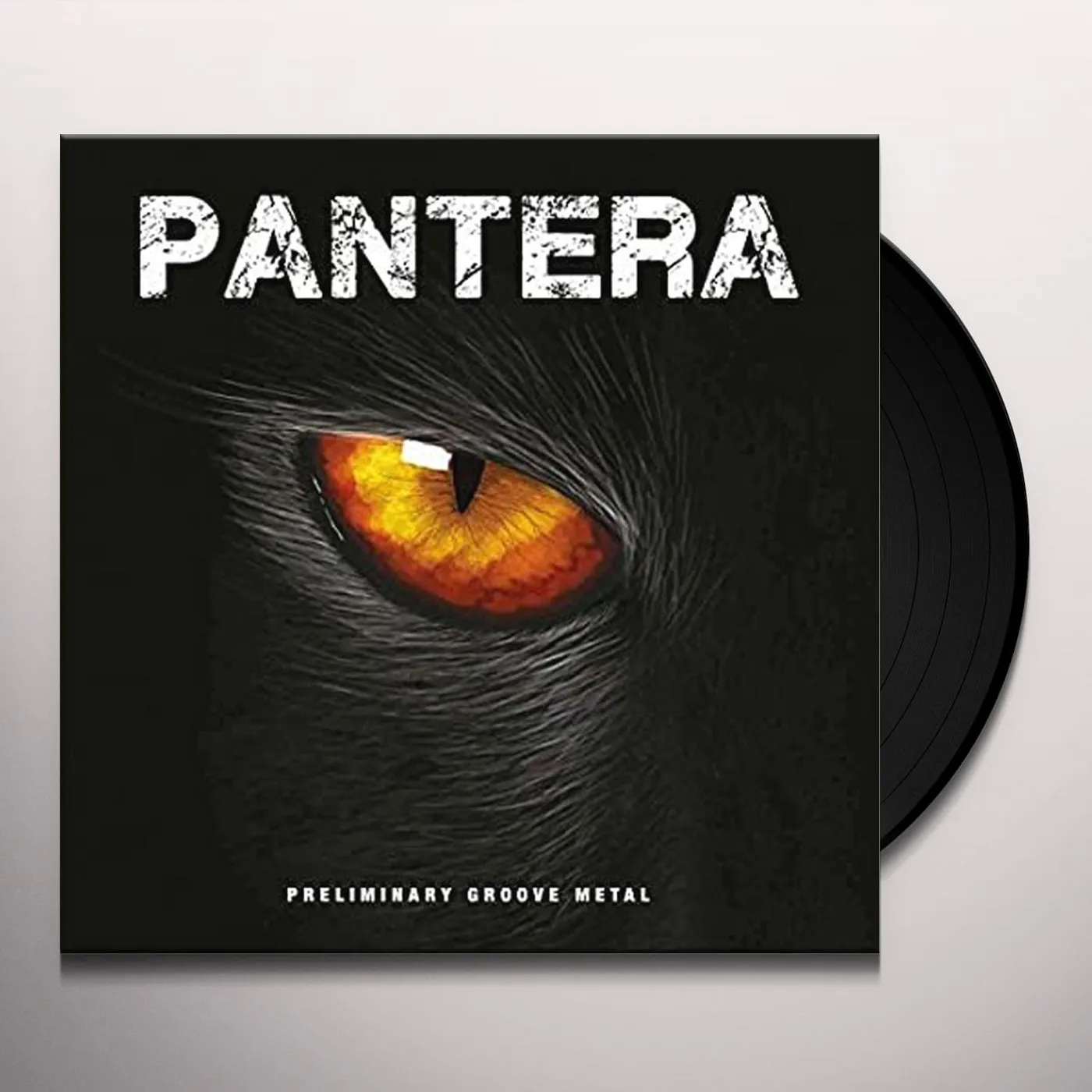 Pantera Preliminary Groove Metal Vinyl Record