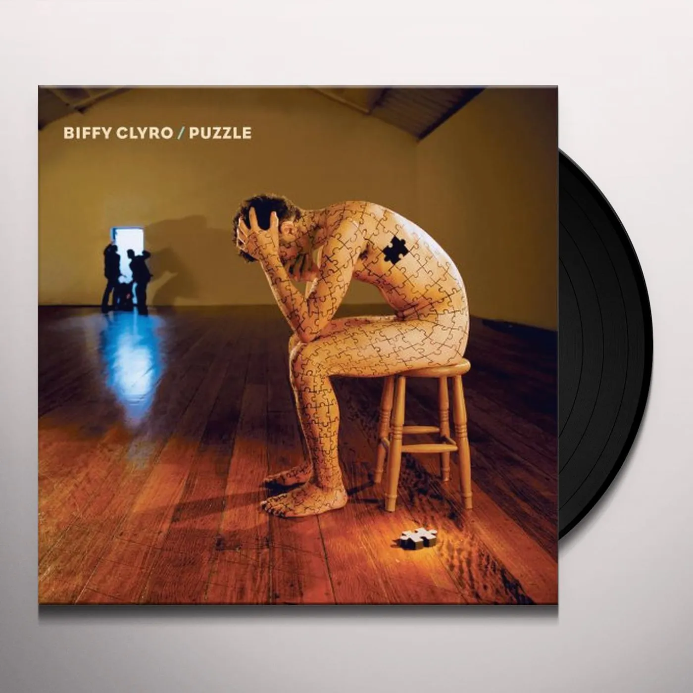 Biffy Clyro Puzzle Vinyl Record