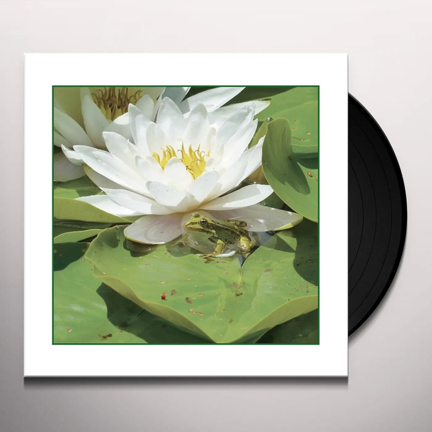 Barry Guy FROGS Vinyl Record