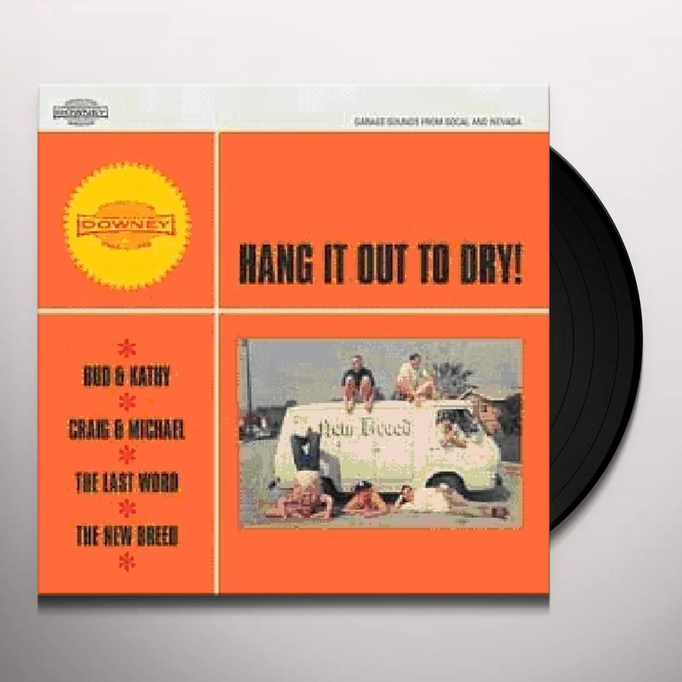 HANG IT OUT TO DRY / VARIOUS Vinyl Record