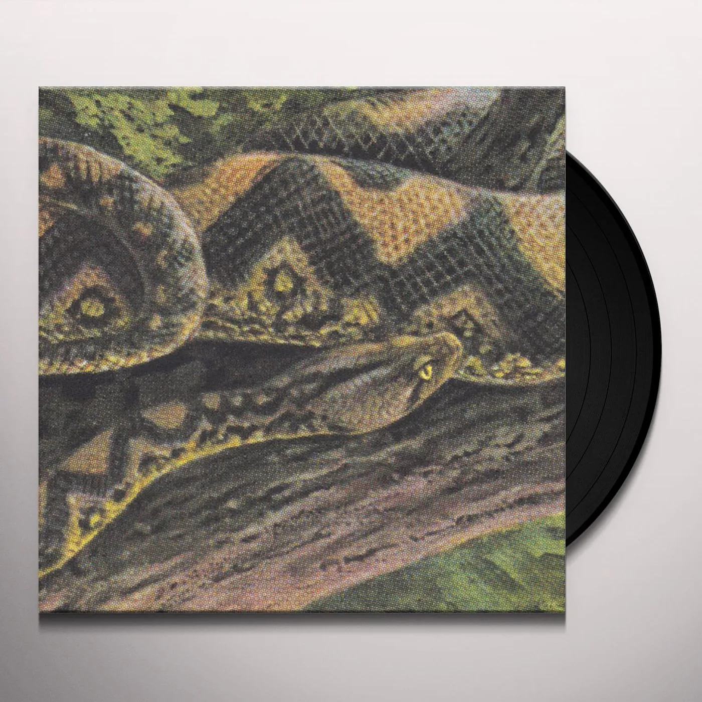 Rainforest Spiritual Enslavement Ambient Black Magic Vinyl Record