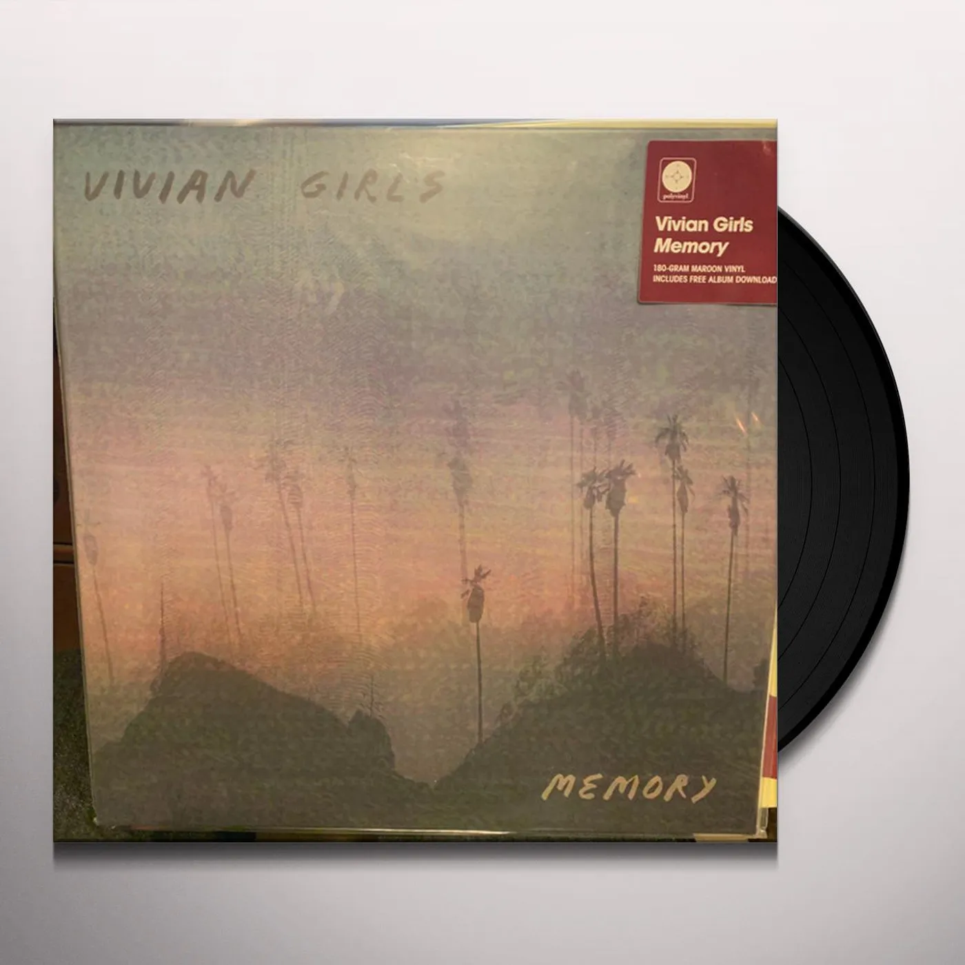 Vivian Girls Memory Vinyl Record