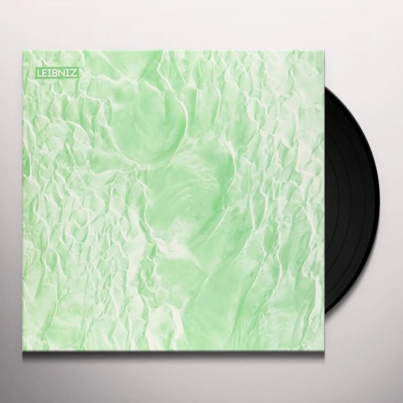 Leibniz What Matters Vinyl Record