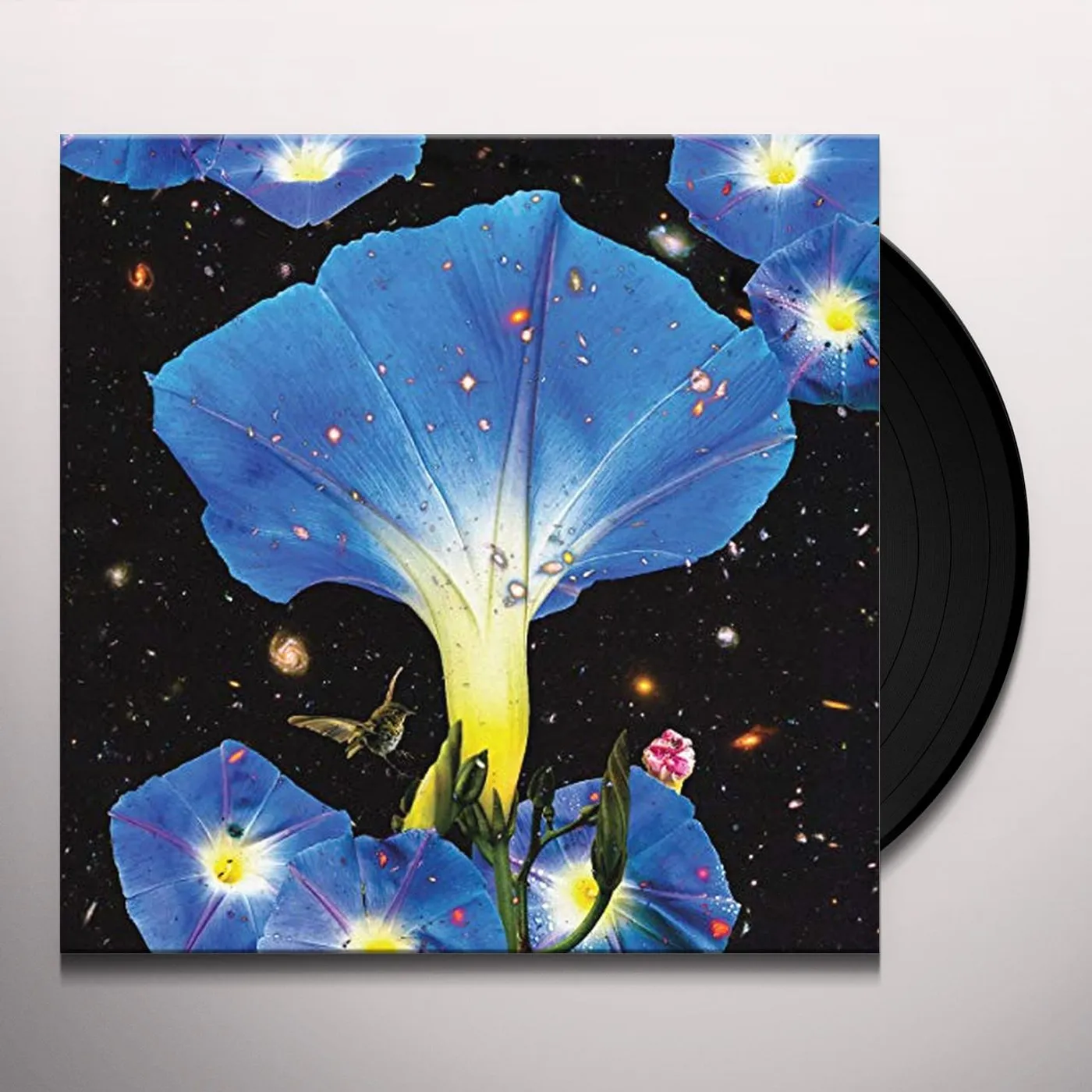 Sarah Louise Nighttime Birds and Morning Stars Vinyl Record