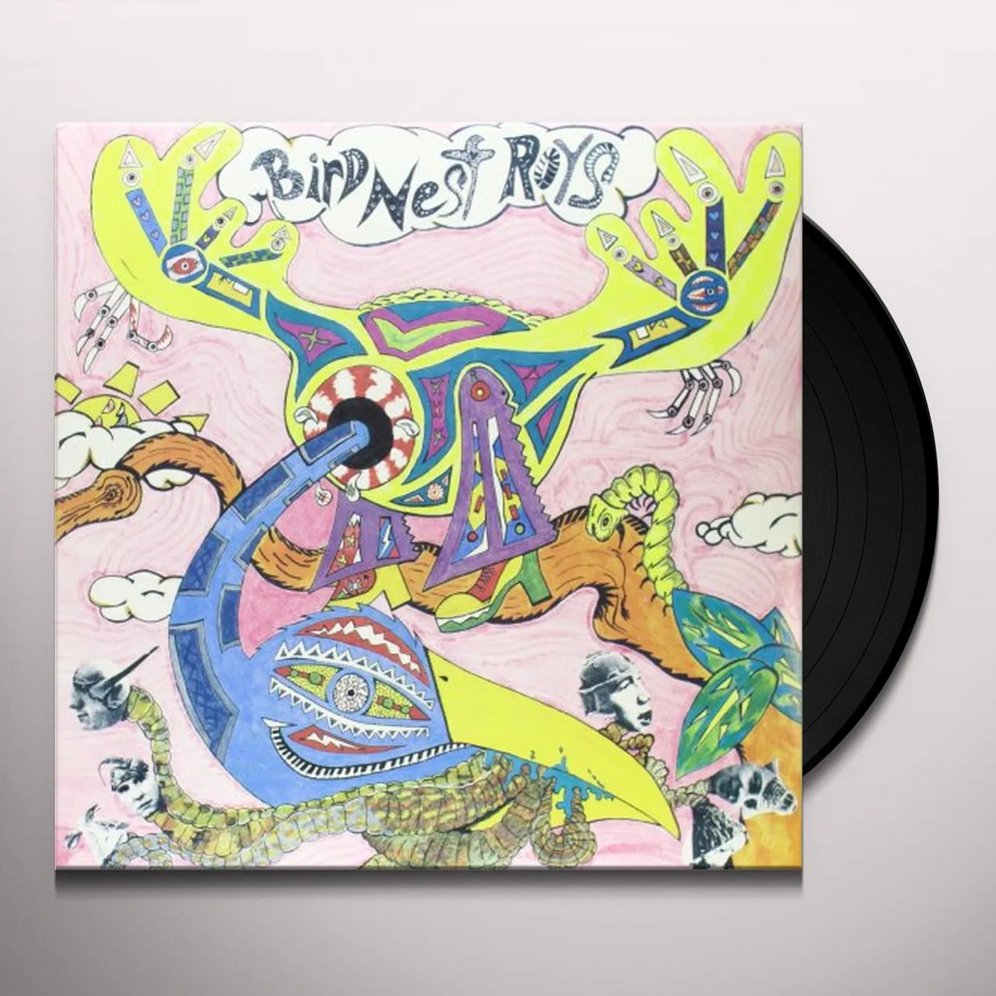 Bird Nest Roys Compilation Vinyl Record