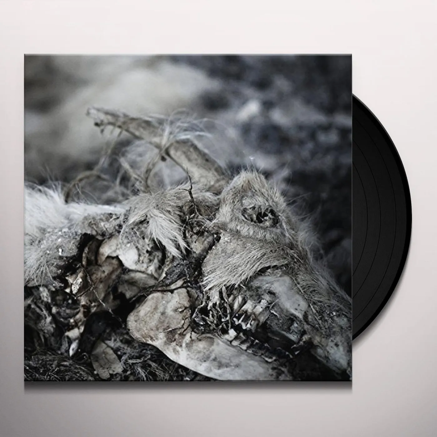 Aphonic Threnody When Death Comes Vinyl Record