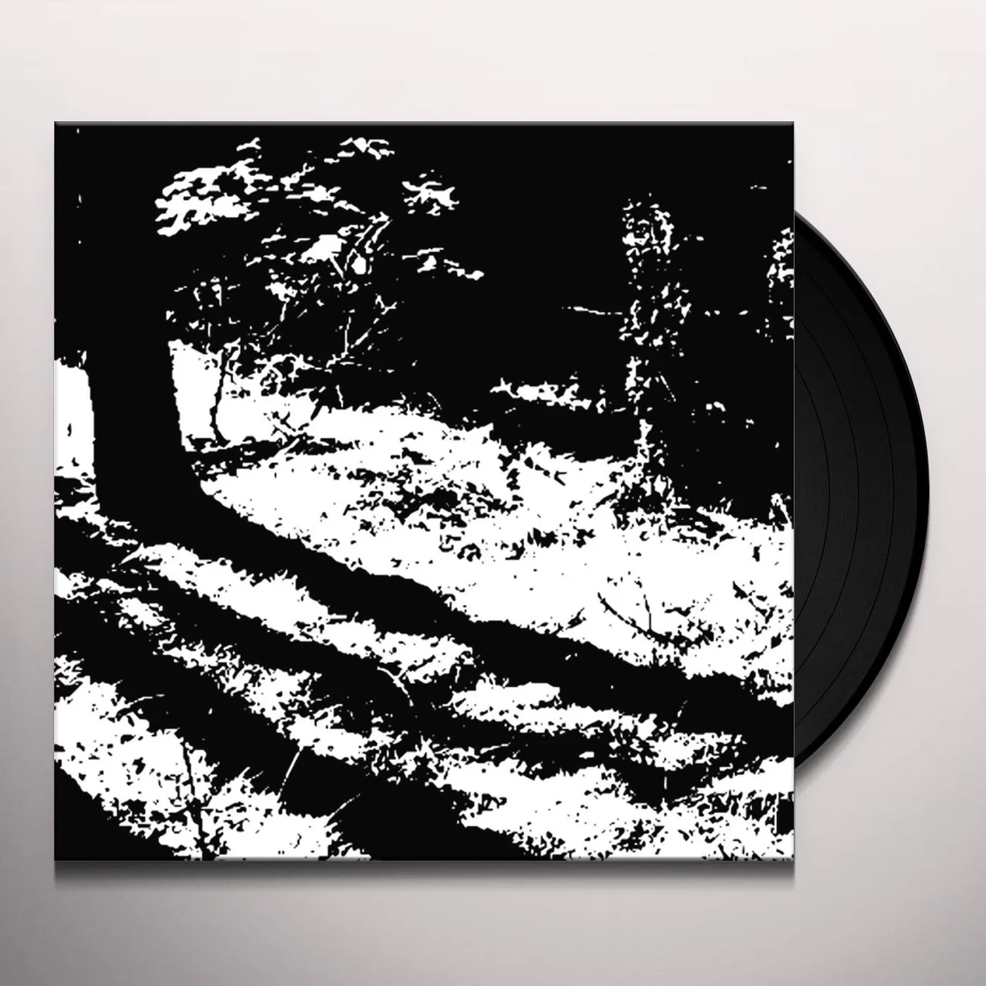 Reggy van Oers TRANSCRANIAL Vinyl Record