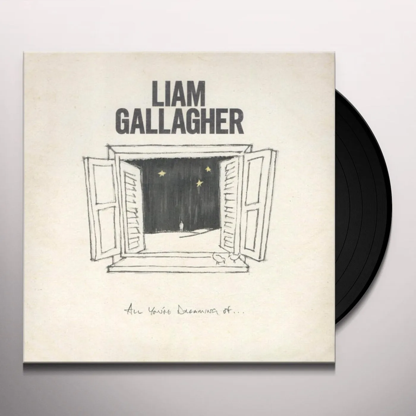 Liam Gallagher All You're Dreaming Of Vinyl Record