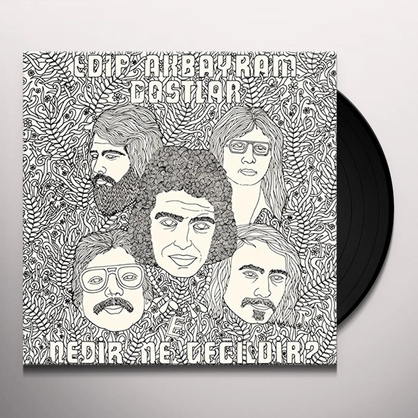 Edip Akbayram & Dostlar NEDIR NE DEGILDIR Vinyl Record
