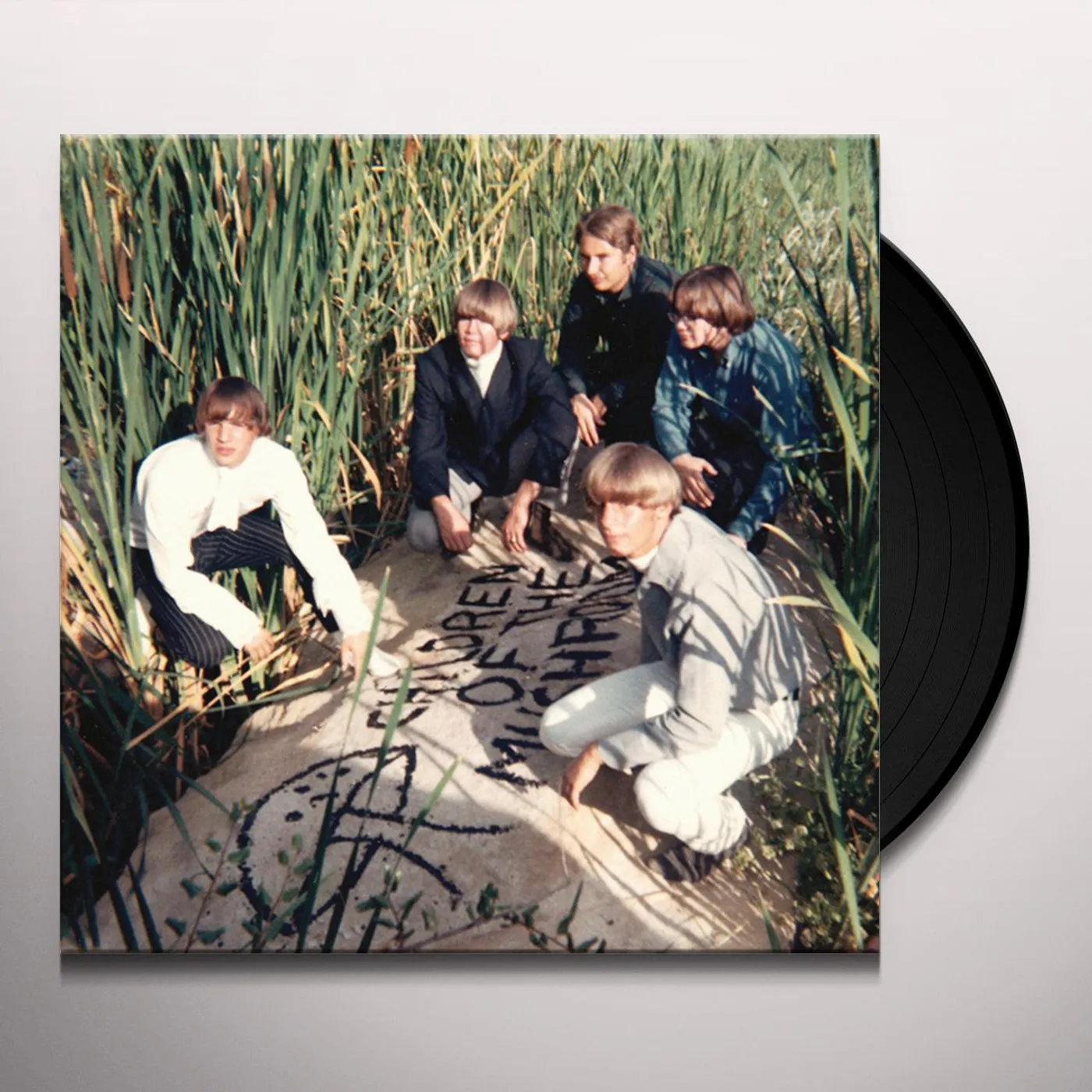 Children Of The Mushroom Vinyl Record