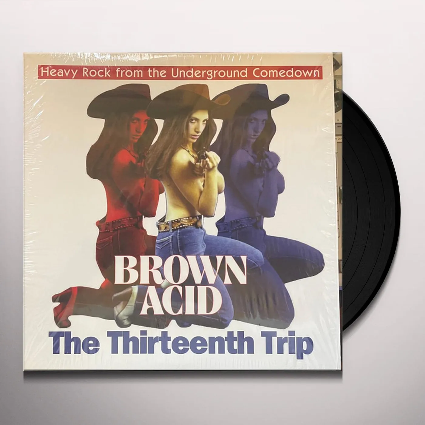 Various Artists  Brown Acid - The Thirteenth Trip Vinyl Record