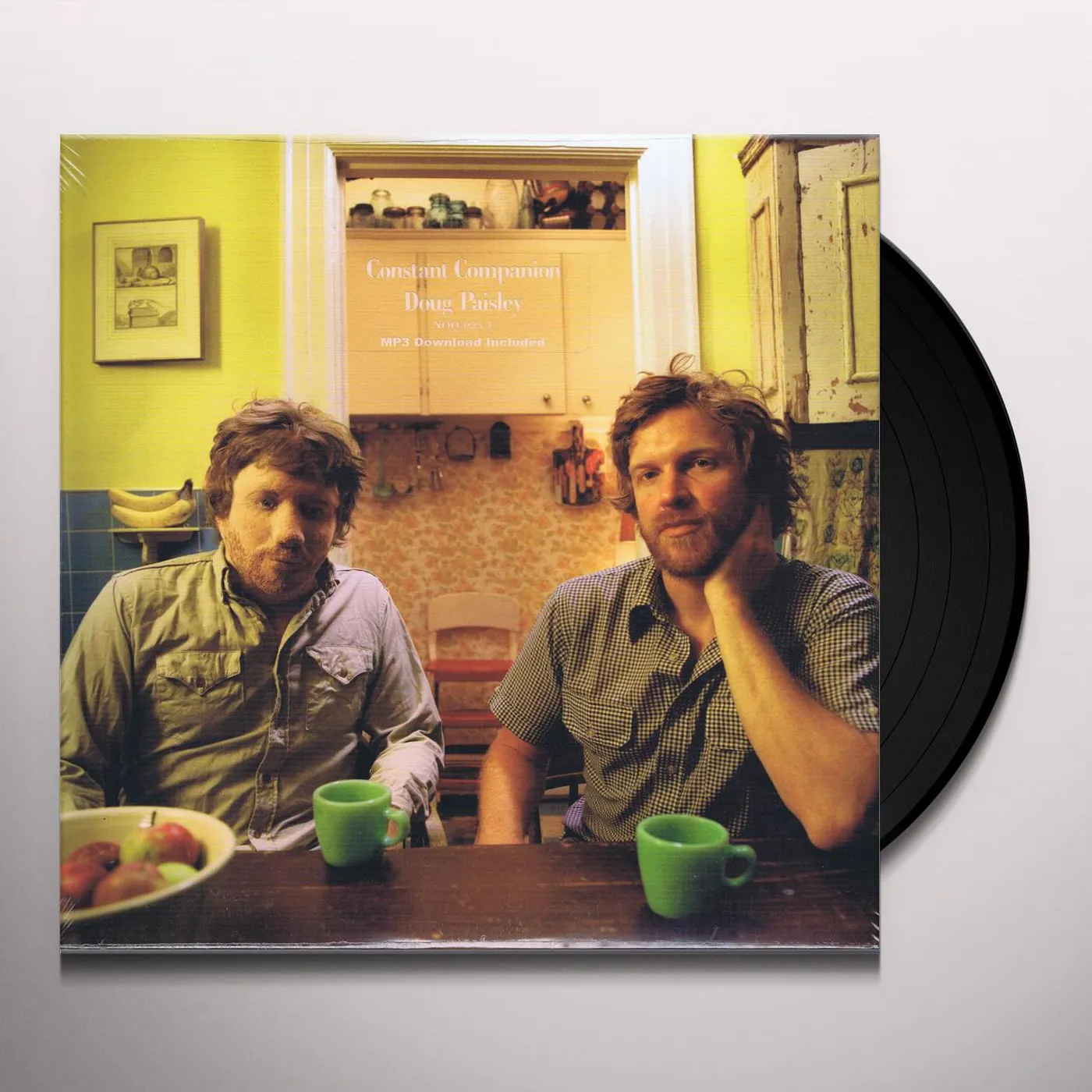 Doug Paisley CONSTANT COMPANION Vinyl Record