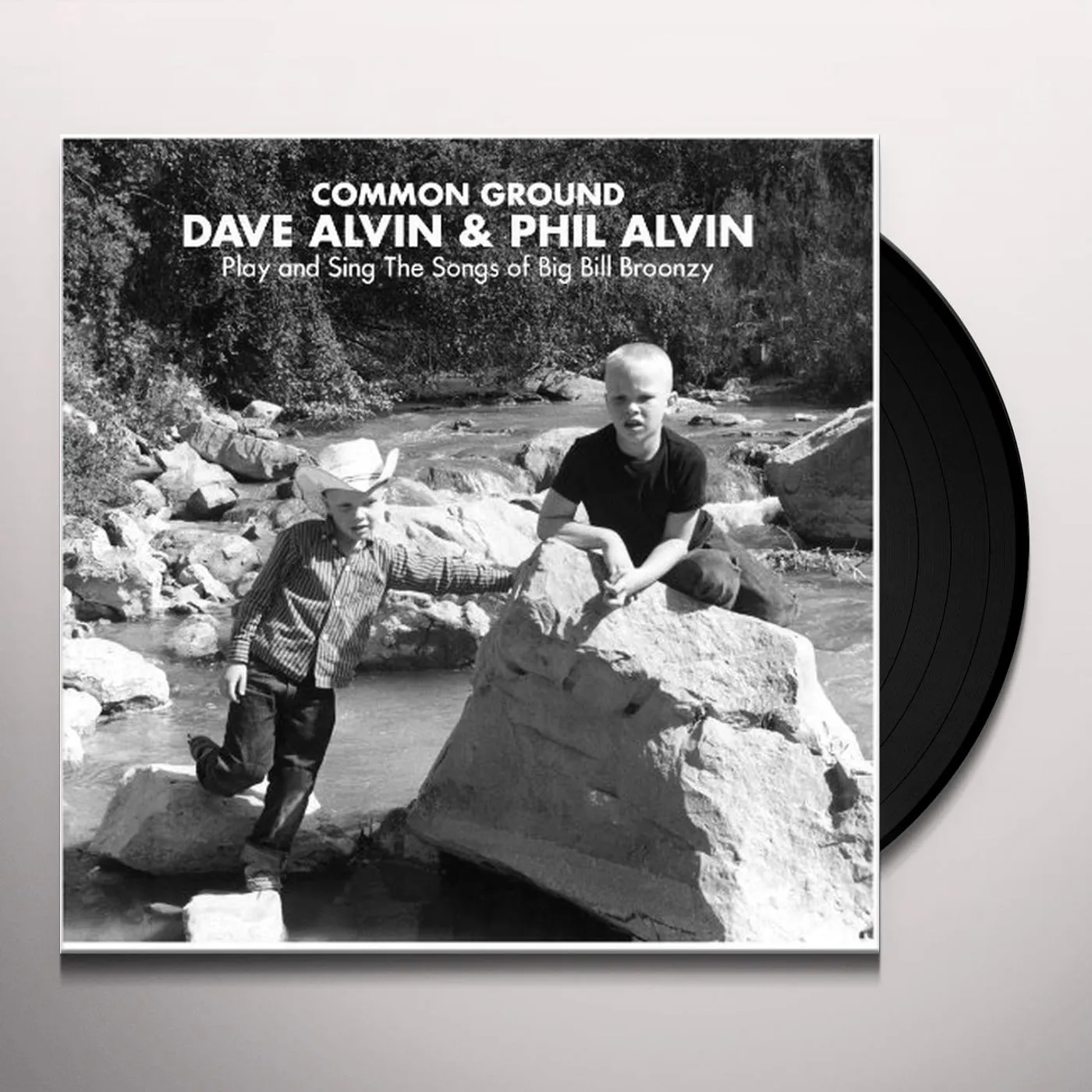 COMMON GROUND: DAVE ALVIN & PHIL ALVIN PLAY & SING Vinyl Record