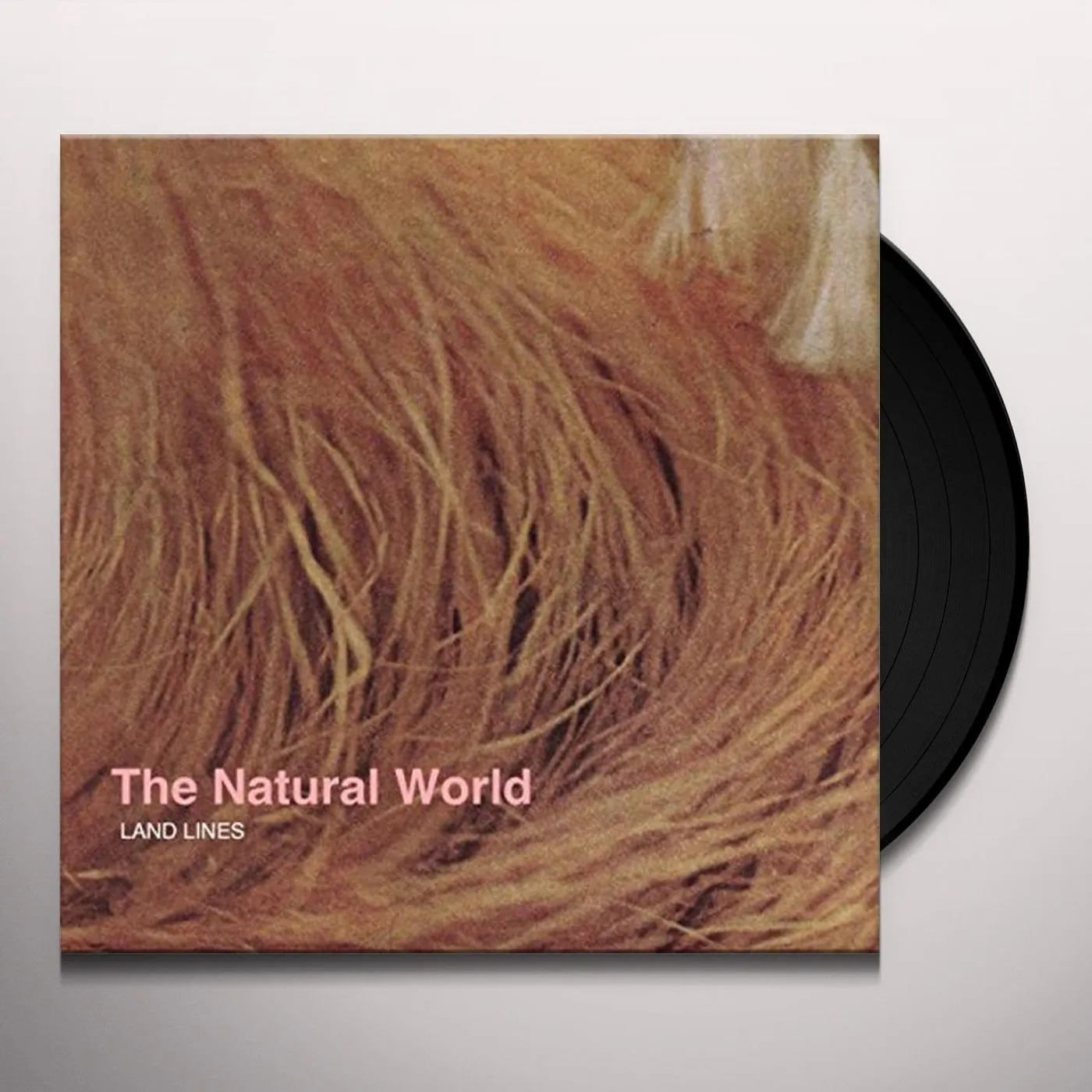 Land Lines NATURAL WORLD Vinyl Record