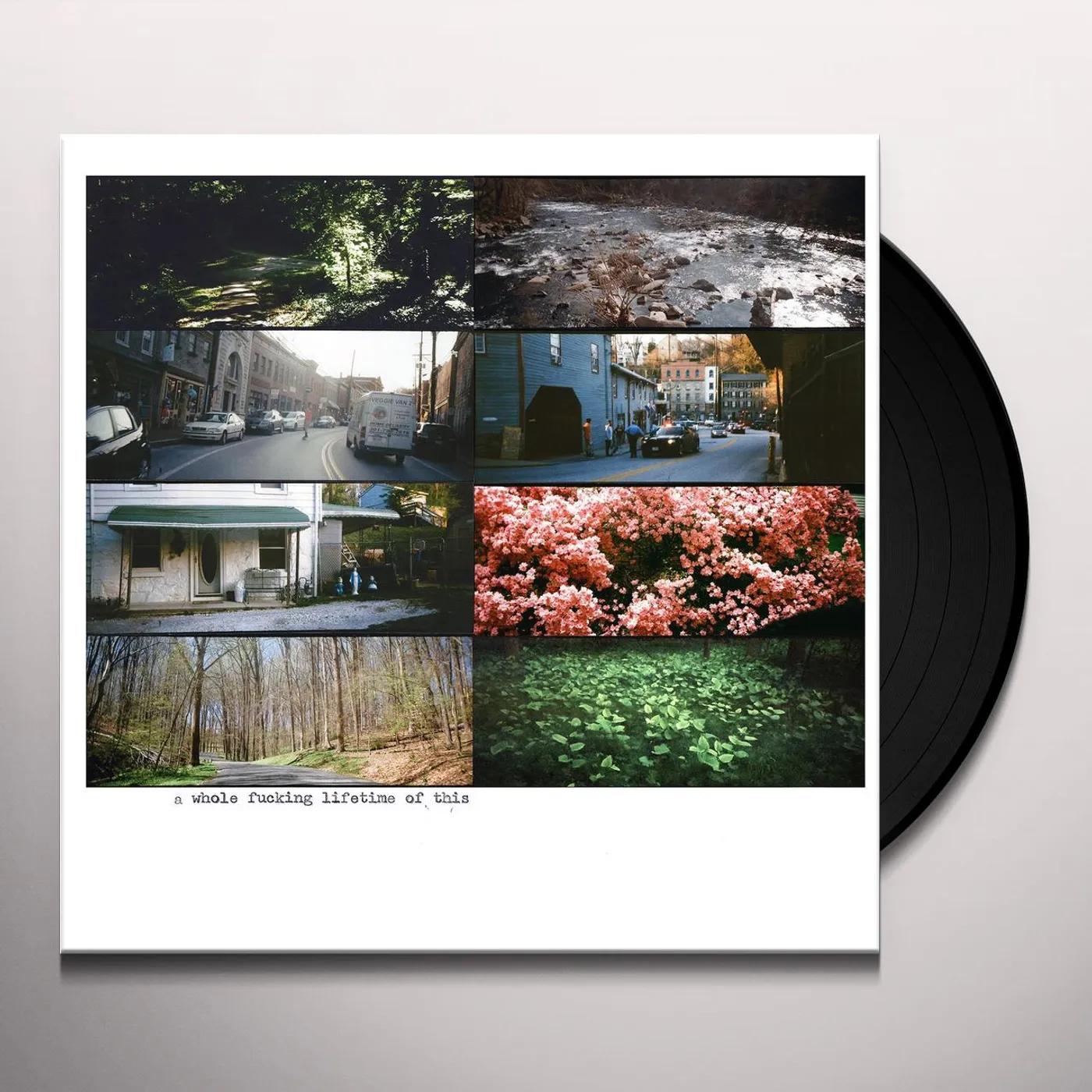 American Pleasure Club WHOLE FUCKING LIFETIME OF THIS Vinyl Record