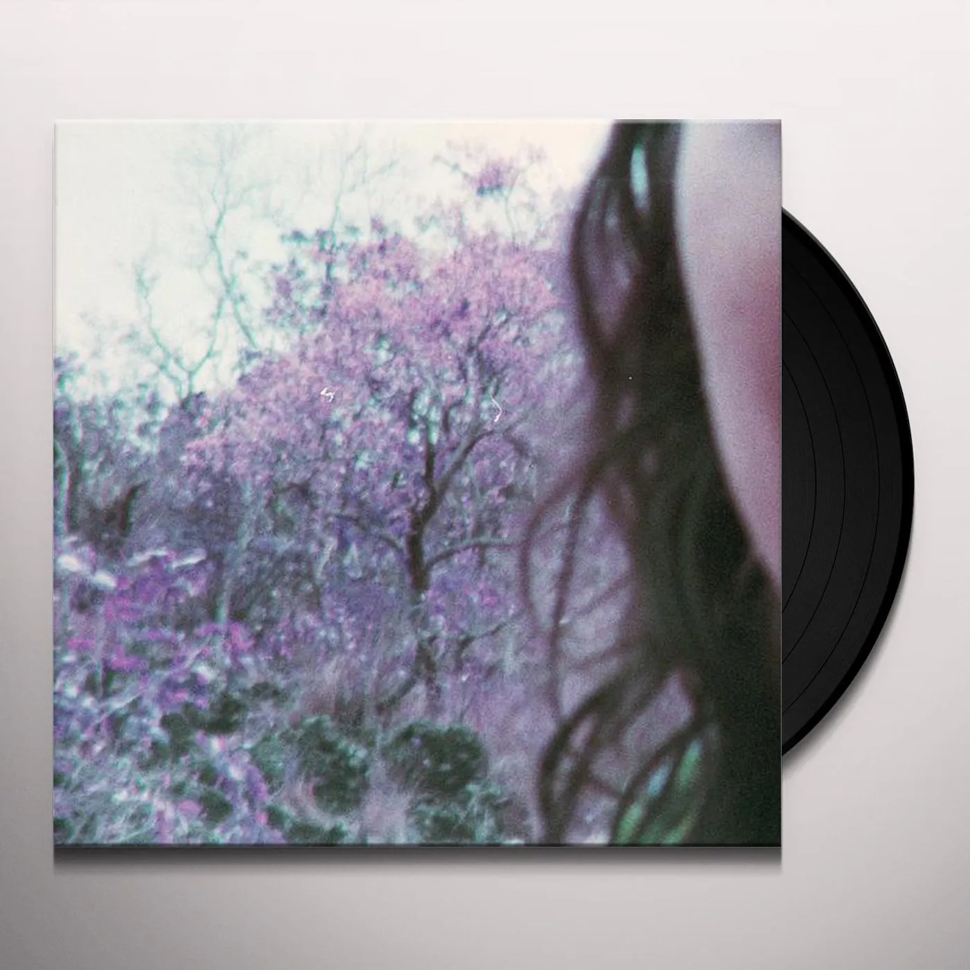 Carabobina Vinyl Record