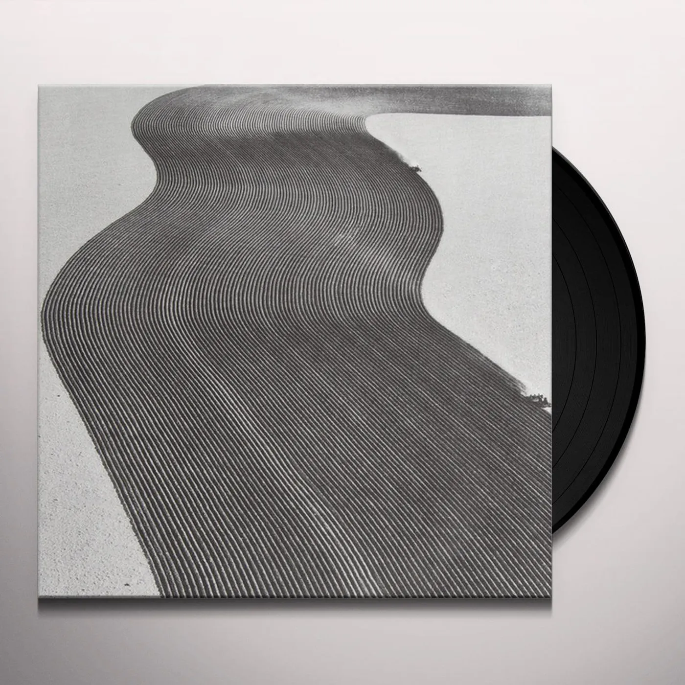Rainer Veil Vanity Vinyl Record