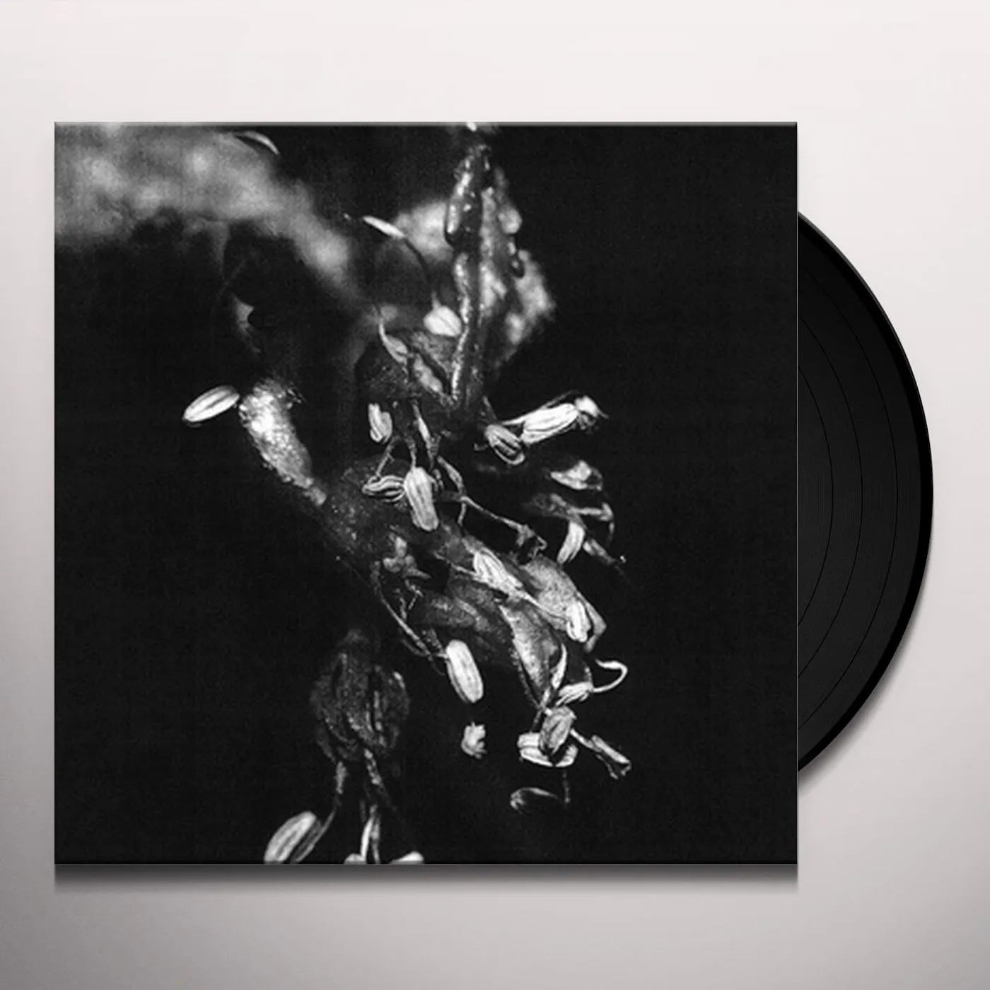 Mike Shiflet Sufferers Vinyl Record