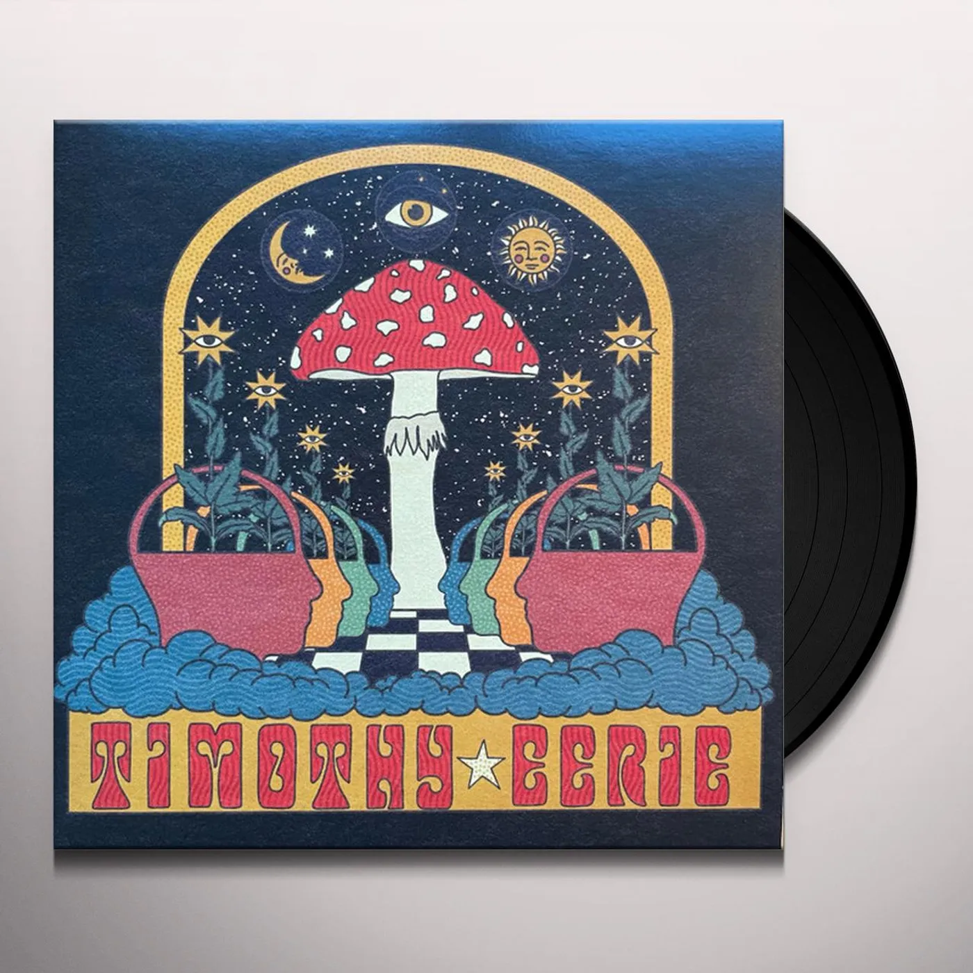 Timothy Eerie I Fear The Void Is Waiting For Me Vinyl Record