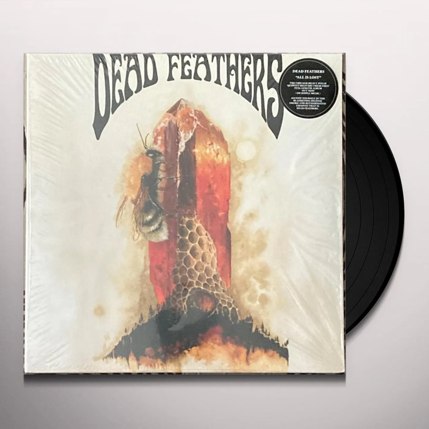 Dead Feathers All Is Lost Vinyl Record