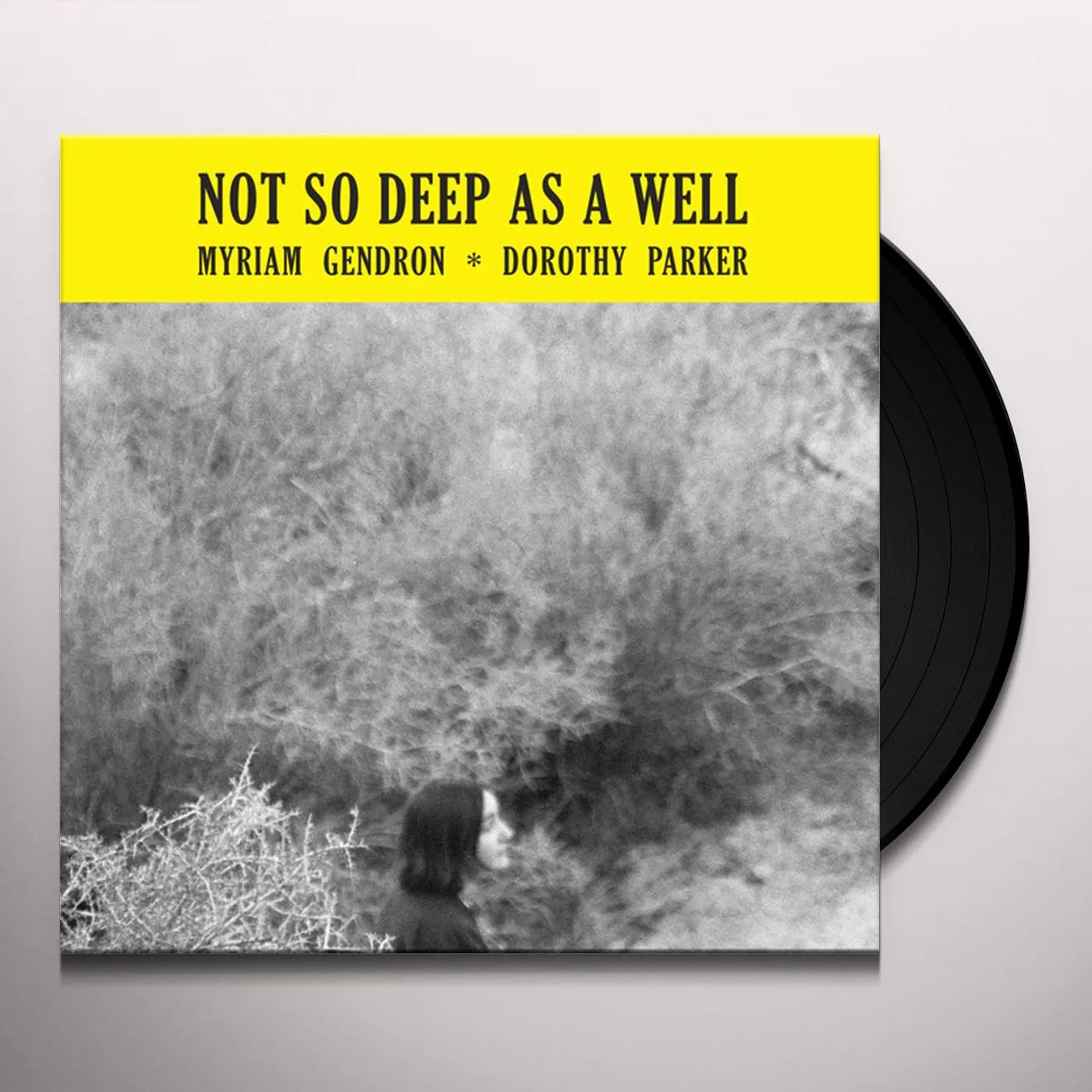 Myriam Gendron Not so Deep as a Well Vinyl Record