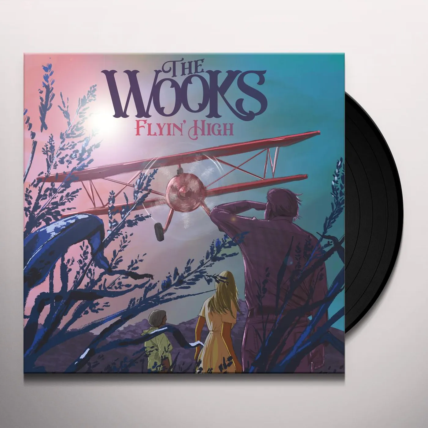 The Wooks FLYIN' HIGH Vinyl Record