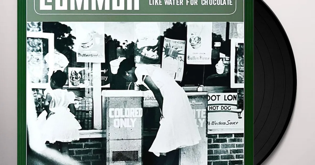 COMMON レコード　LIKE WATER FOR CHOCOLATE LIKEWATERFORCHOCOLATE2XLP_1024