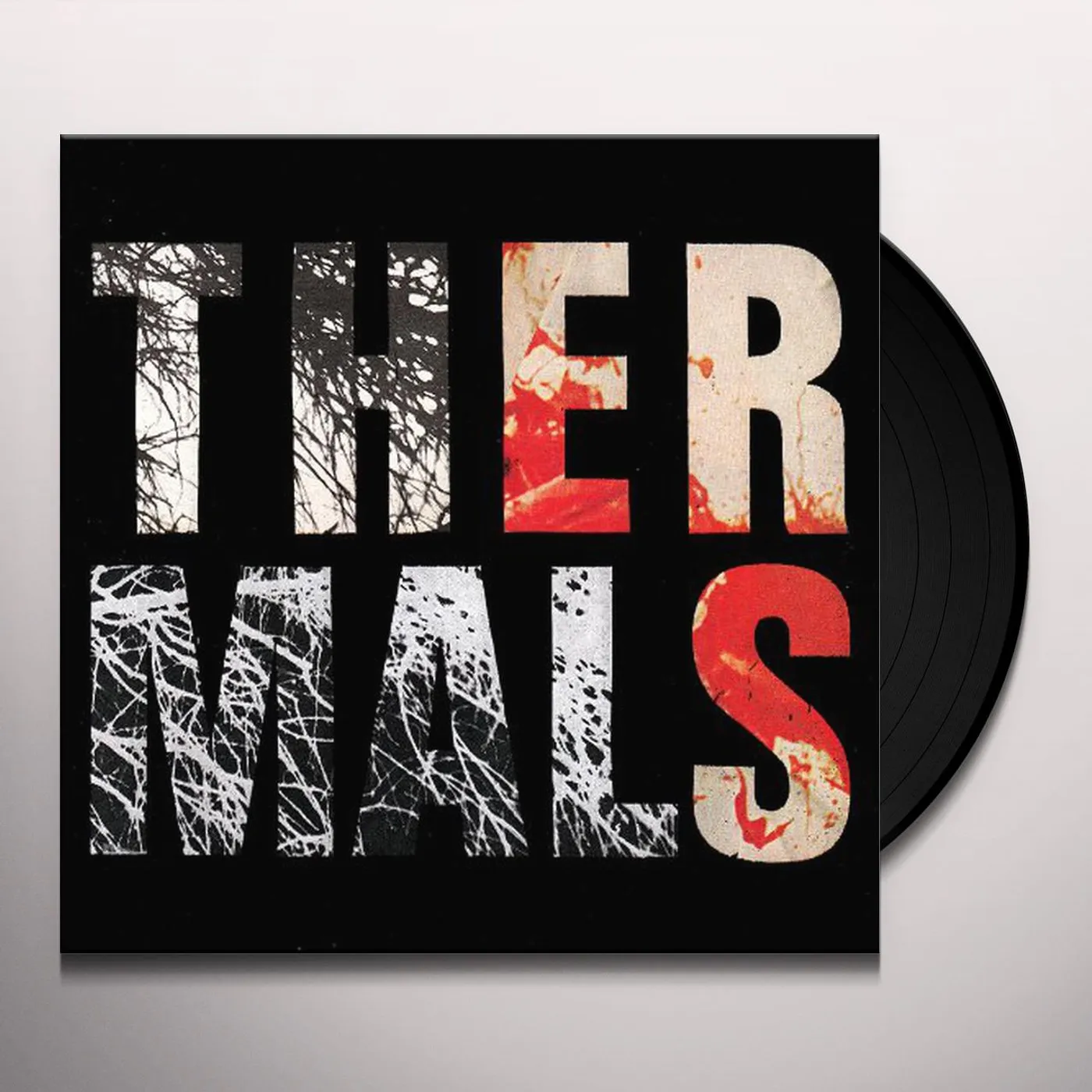 The Thermals Desperate Ground Vinyl Record