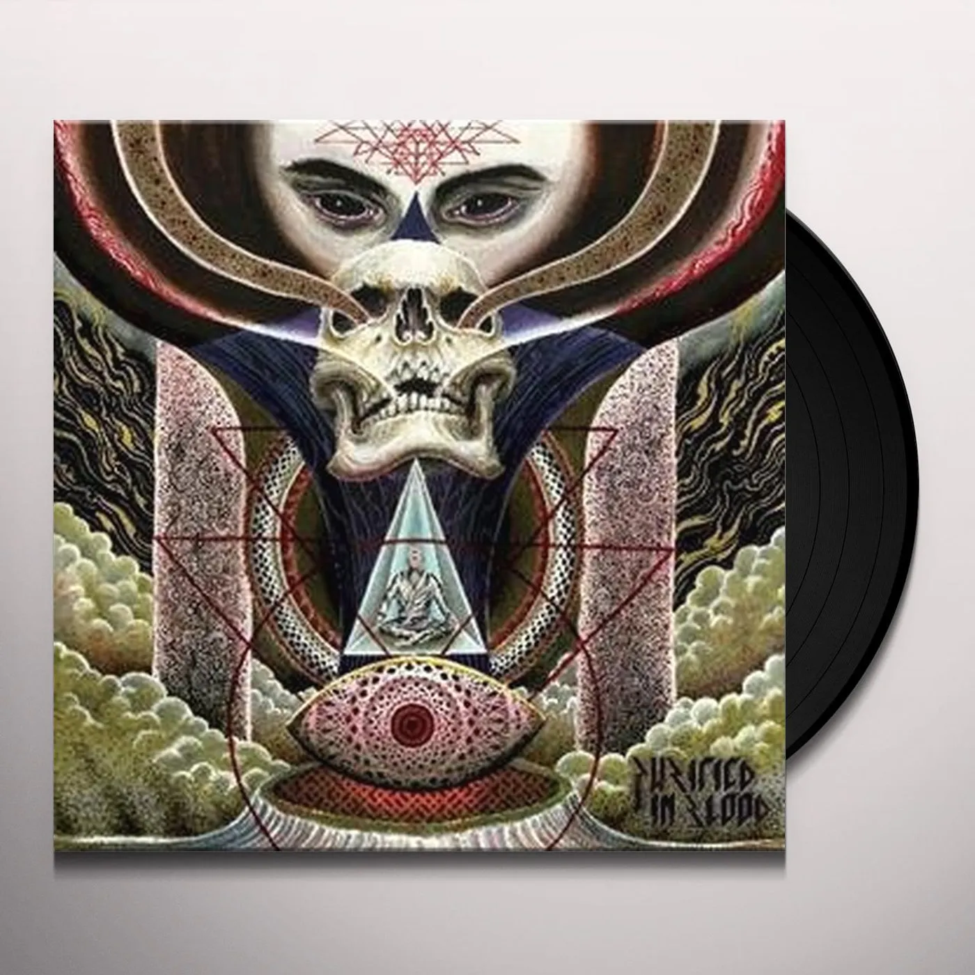 Purified In Blood Flight Of A Dying Sun Vinyl Record