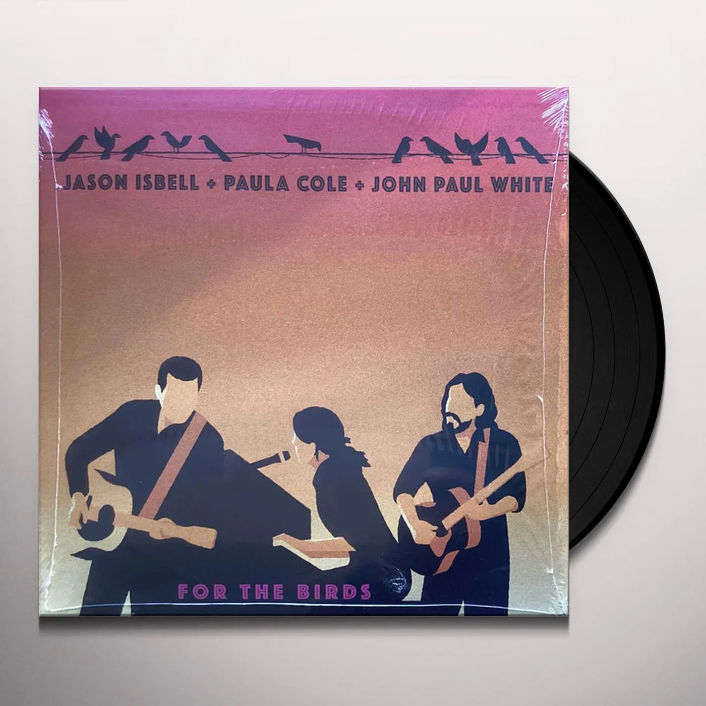Paula Cole For the Birds Vinyl Record