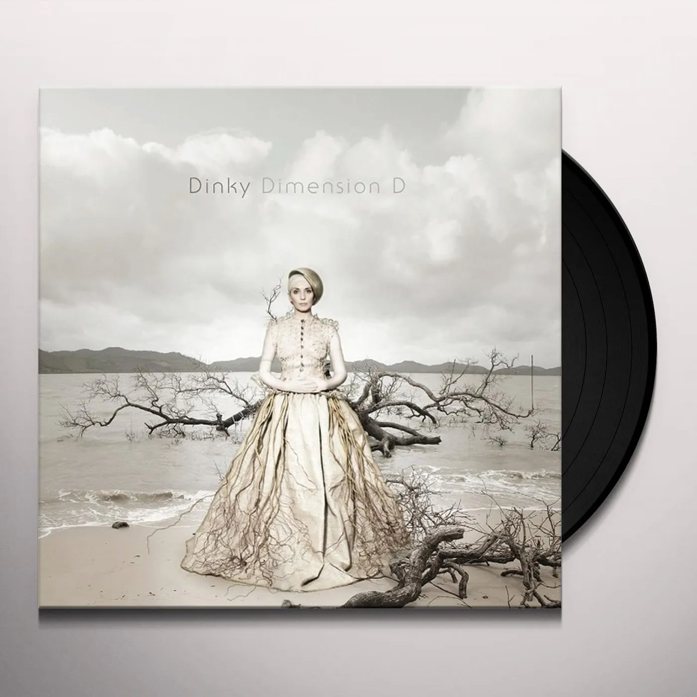 Dinky Dimension D Vinyl Record