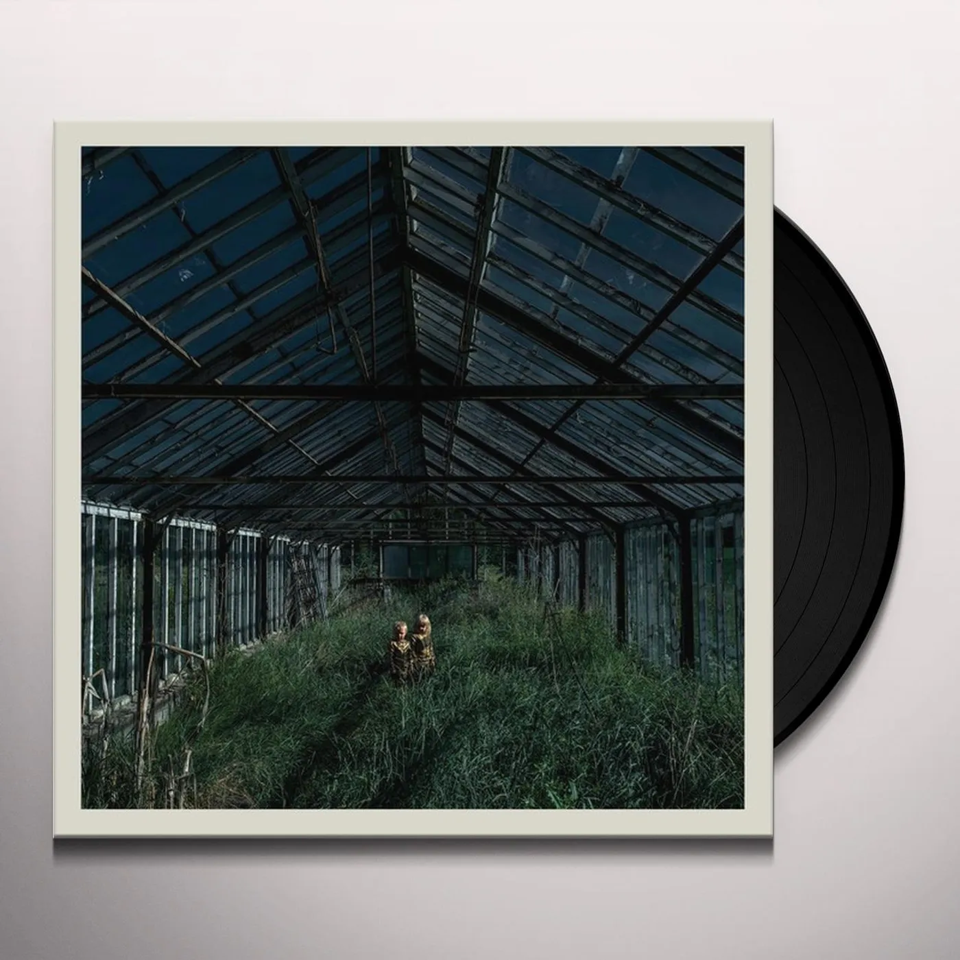Foxing Dealer Vinyl Record