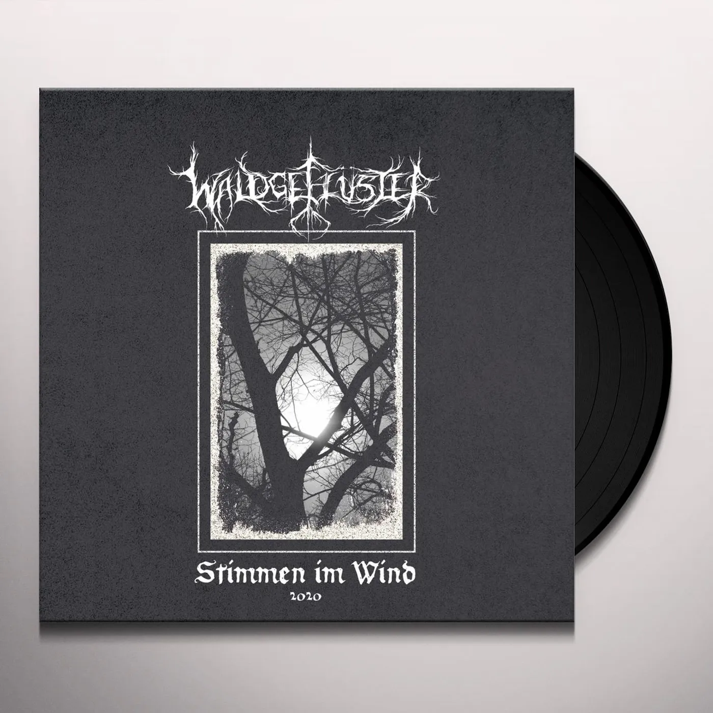 Waldgeflüster Stimmen Im Wind 2020 Vinyl Record