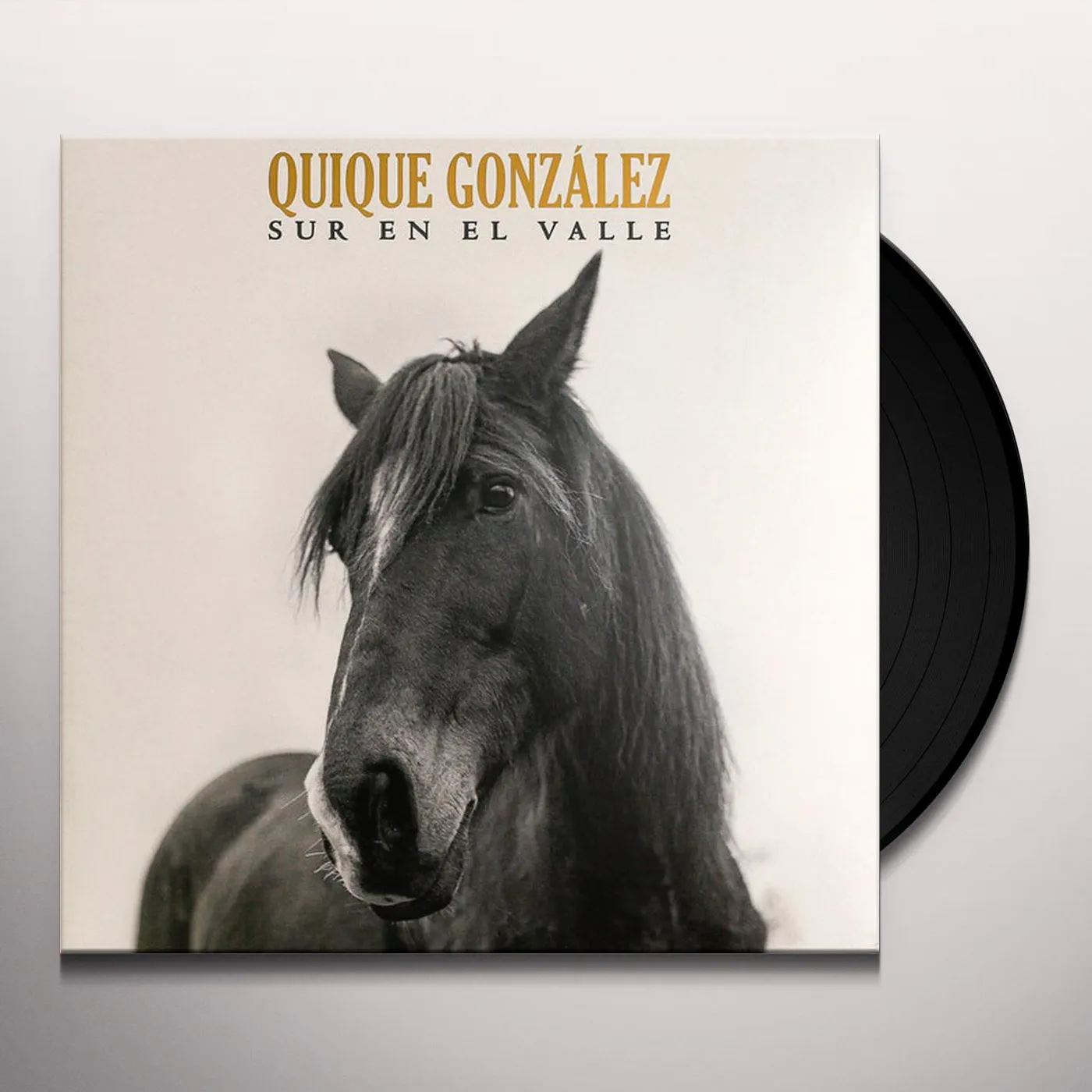 Quique González Sur en el Valle Vinyl Record